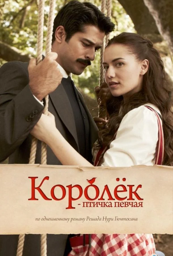 Смотреть турецкий сериал Королёк – птичка певчая (2013) онлайн в хорошем качестве 720-1080 HD, бесплатно на русском языке